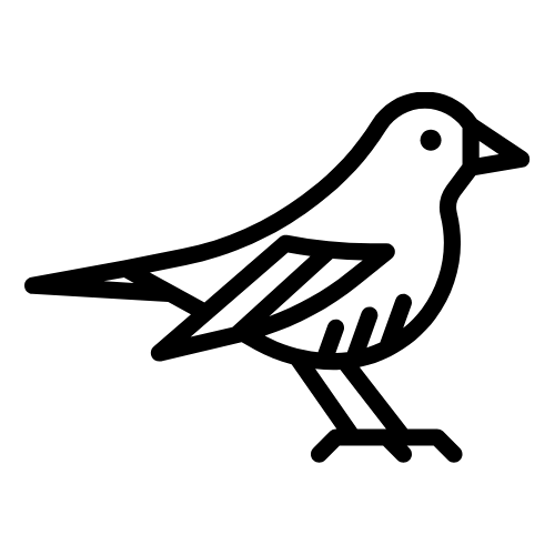 Kuş Yemleri
