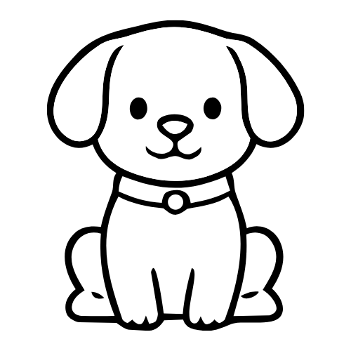 Köpek Ürünleri