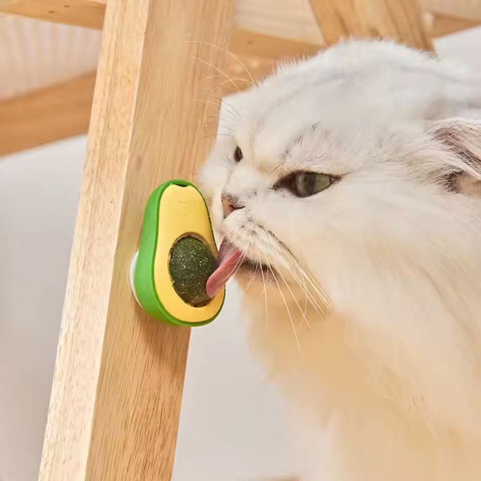 Doğal Kedi Nanesi Avokado Oyuncak 360° Döner Catnip & Kedi Çimi
