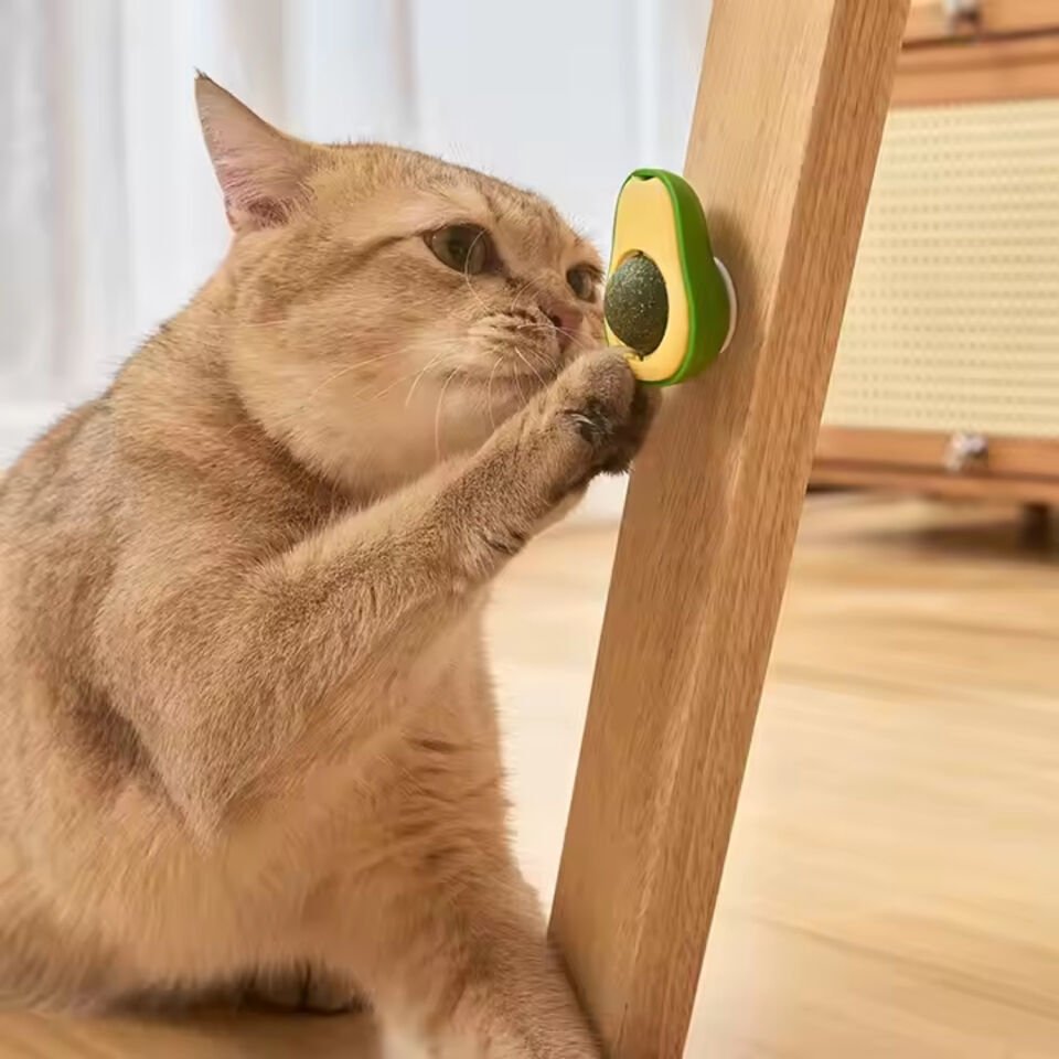 Doğal Kedi Nanesi Avokado Oyuncak 360° Döner Catnip & Kedi Çimi
