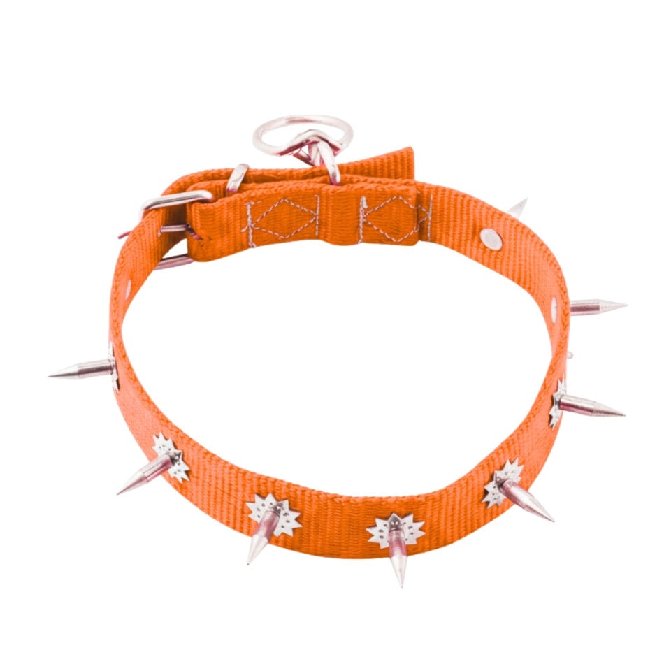 Dokuma Çivili Köpek Boyun Tasması - 4*70 cm - Turuncu