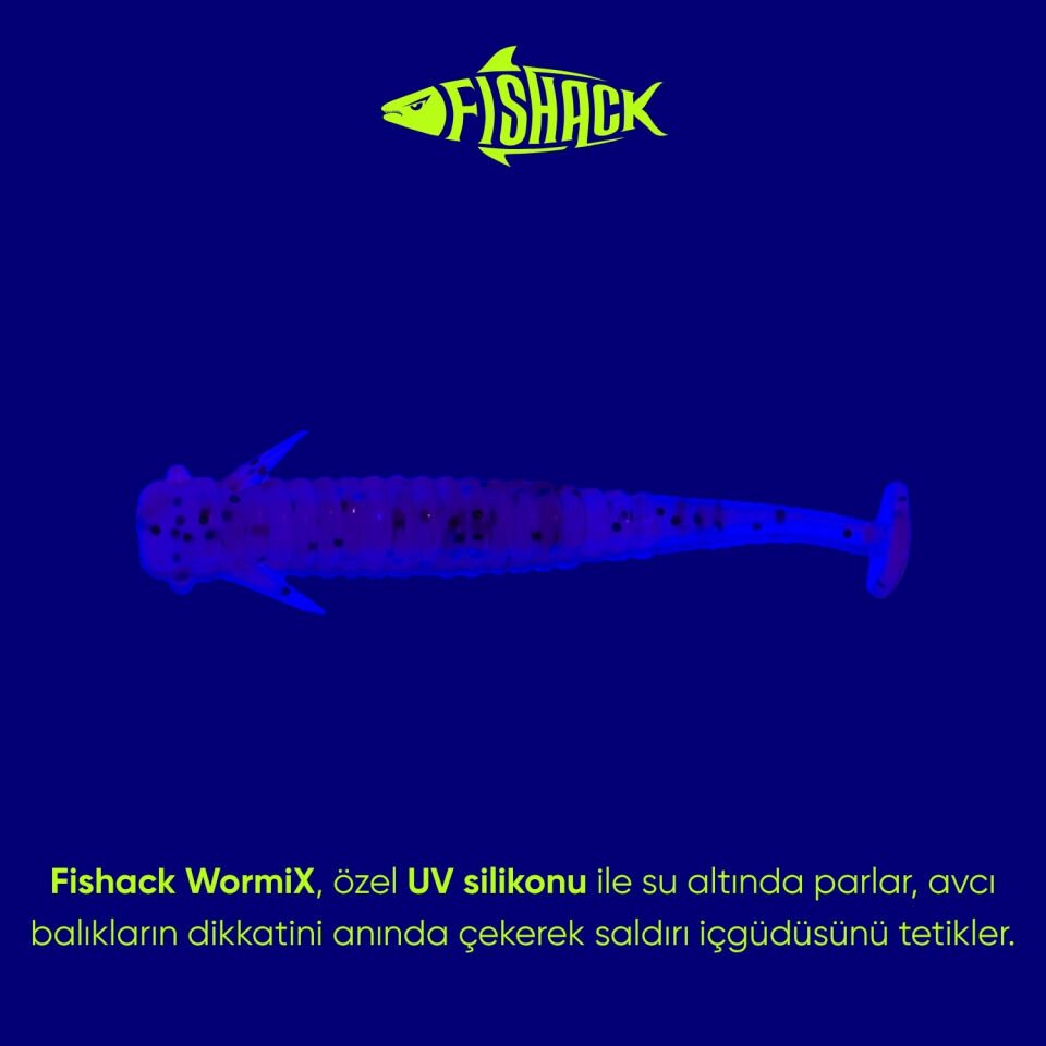 Silikon Kurt Yem - 1g 50mm - Fishack Wormix - 10 Adet - Purple