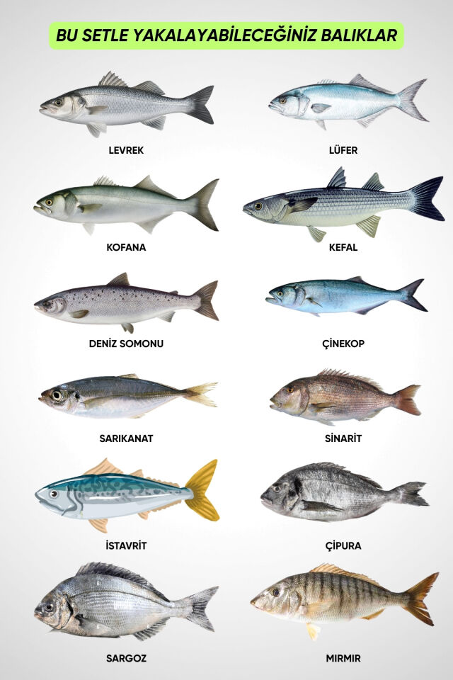 33 Parça Profesyonel Deniz Olta Takımı Seti - Kahv - 350cm Kamış 60/120gr