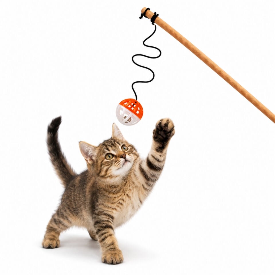 Kedi Oltası - Dawcat - Plastik Toplu - Beyaz/Turuncu