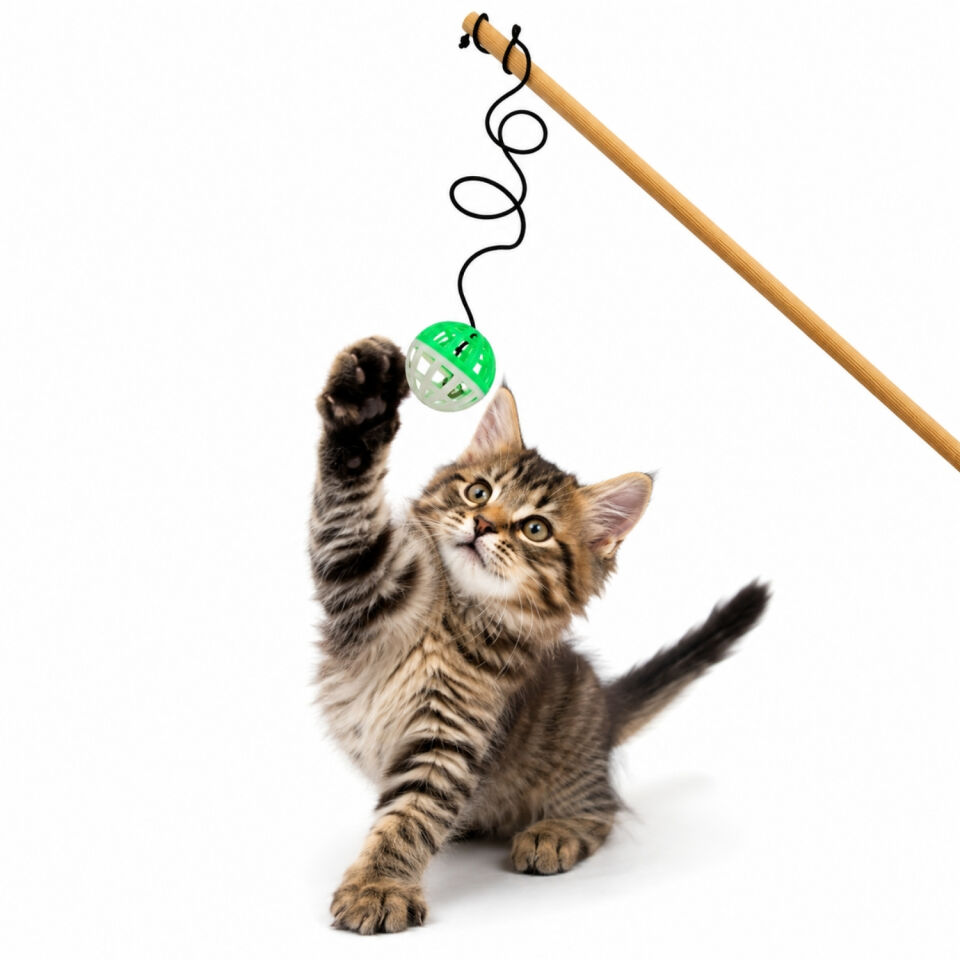 Kedi Oltası - Dawcat - Plastik Toplu - Beyaz/Yeşil