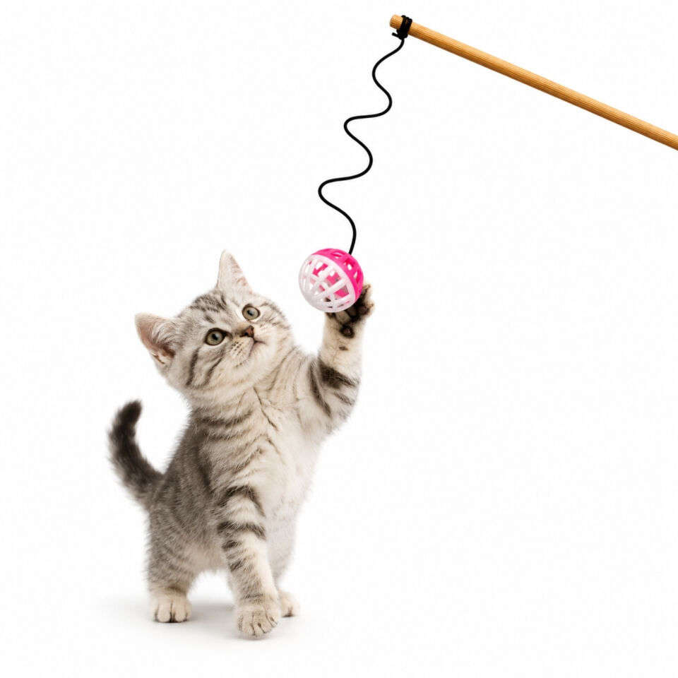 Kedi Oltası - Dawcat - Plastik Toplu - Beyaz/Pembe