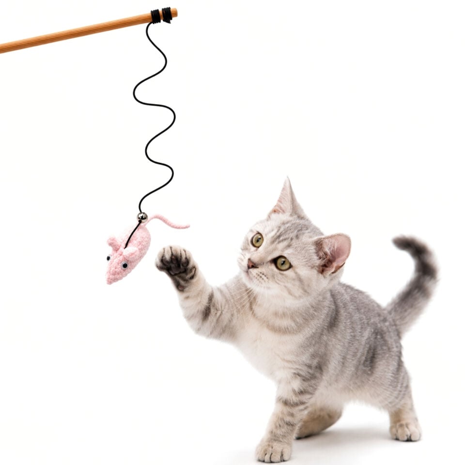 Kedi Oltası - Dawcat - Fare Figürlü - Açık Pembe