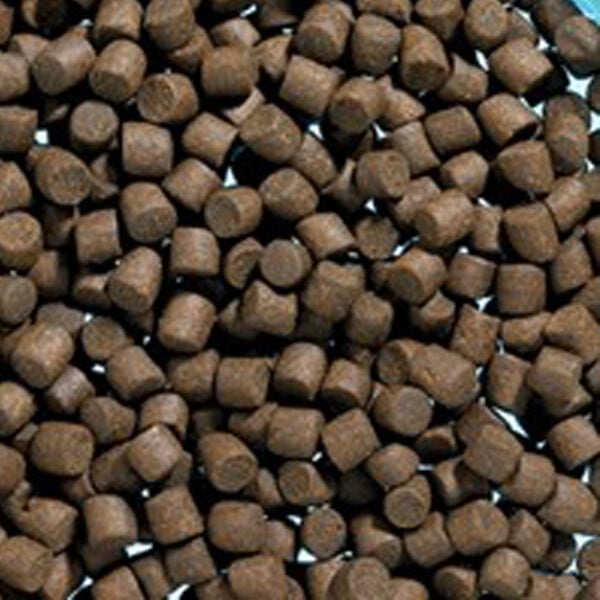 Alabalık Pellet Yemi - 5mm - 1 Kg - Fishack