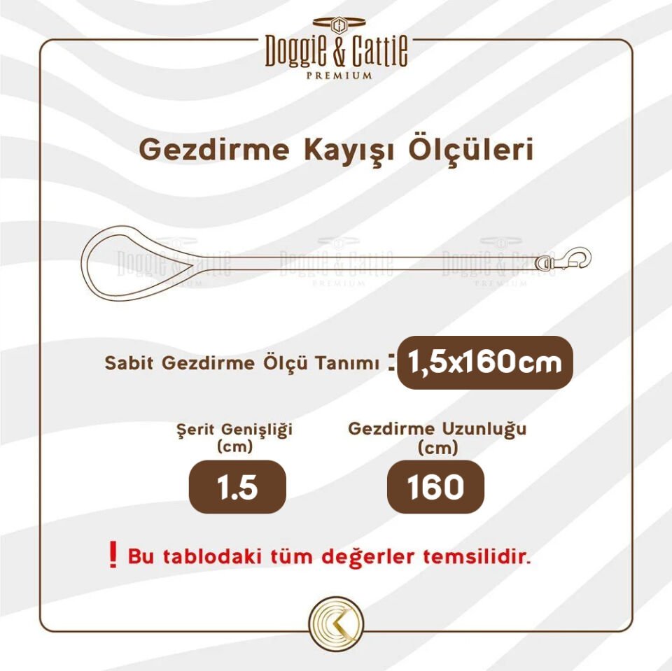 Doggie Konfor Dokuma Gezdirme Kayışı Turuncu 1.5*160 Cm (DGZT-15)