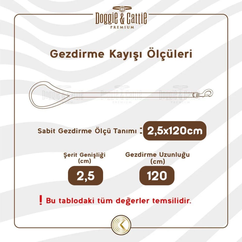 Doggie Konfor Dokuma Gezdirme Kayışı Siyah 2.5*120 Cm (DGZT-25)