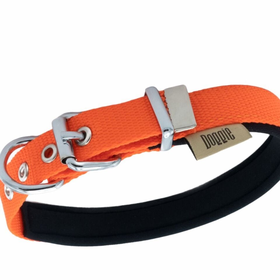 Doggie Konfor Dokuma Boyun Tasması Turuncu 2.0*30-35 cm (DSBT-2010 S)