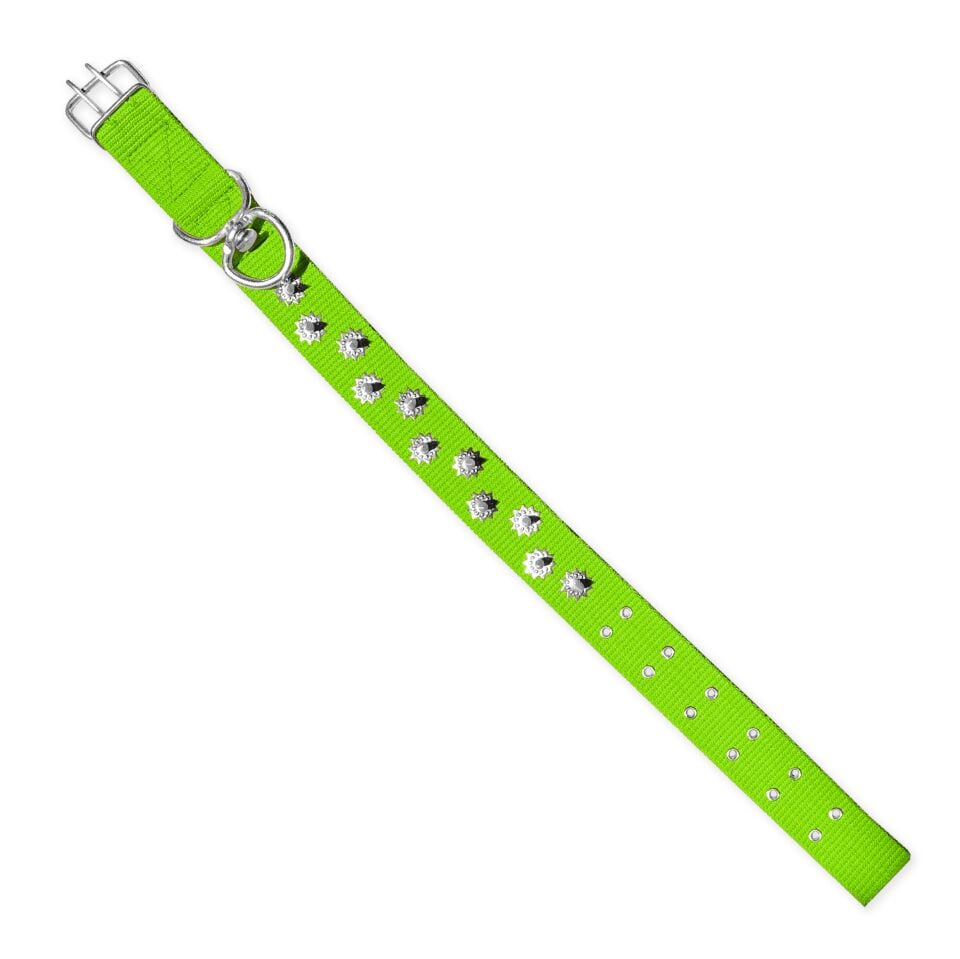 Dokuma Çivili Köpek Boyun Tasması - 5*80 cm - Yeşil