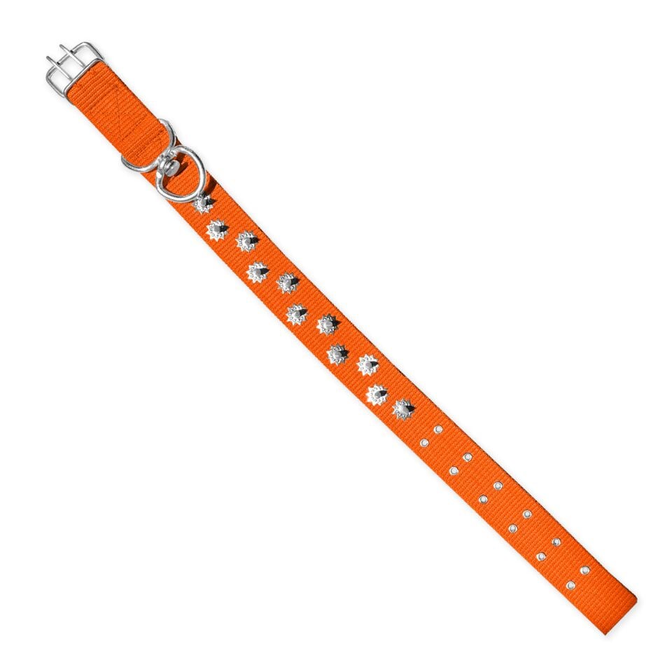 Dokuma Çivili Köpek Boyun Tasması - 5*80 cm - Turuncu