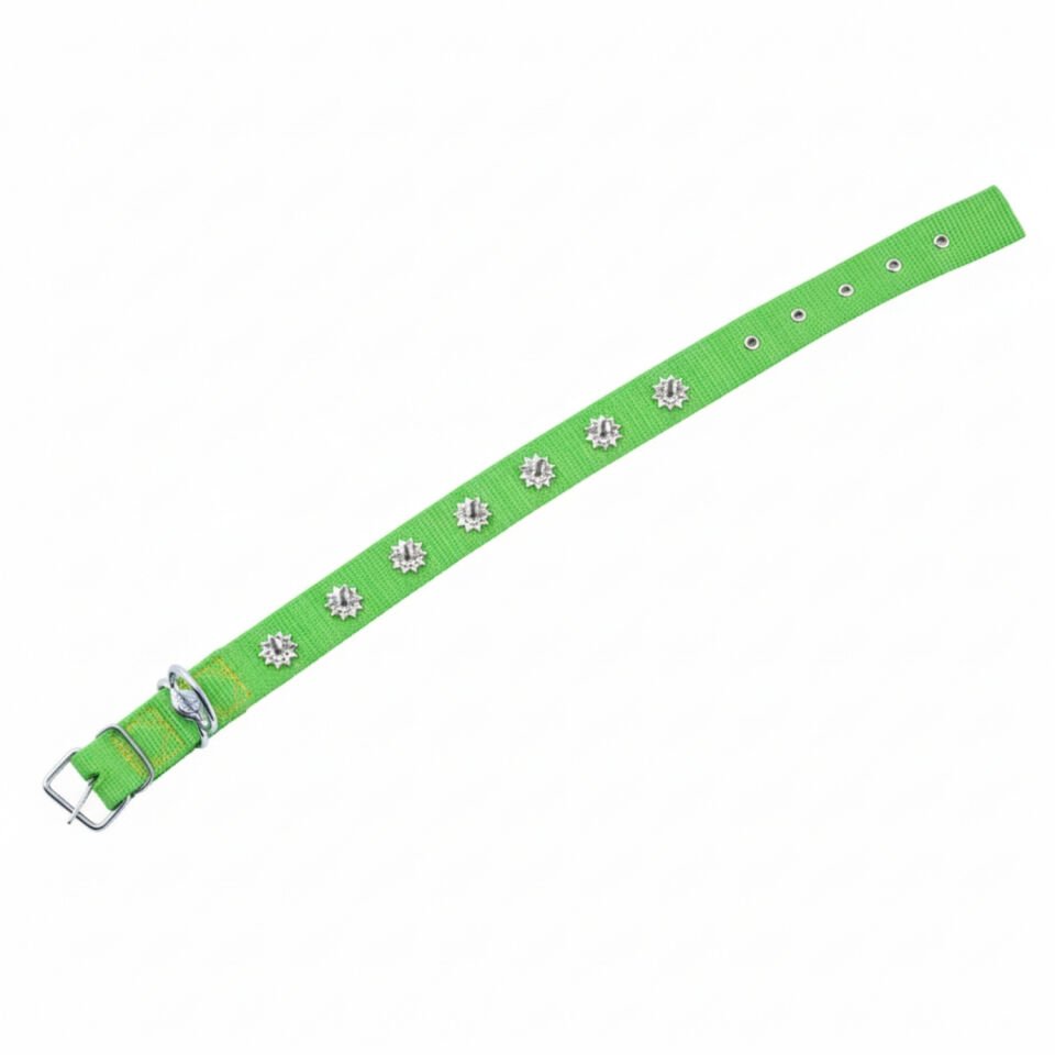 Dokuma Çivili Köpek Boyun Tasması - 4*70 cm - Yeşil